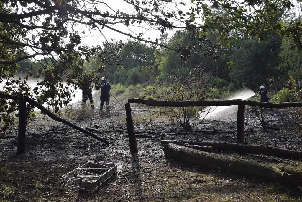 Waldbrand Koeln Hoehenhaus Hoehenfelder Mauspfad P106.JPG - Miklos Laubert